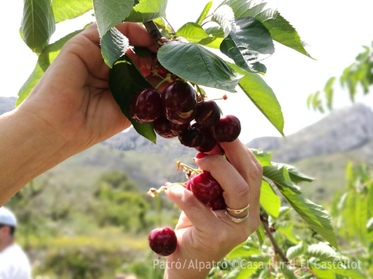 Buhardilla Rustica En La Vall De Gallinera Patró Exterior foto